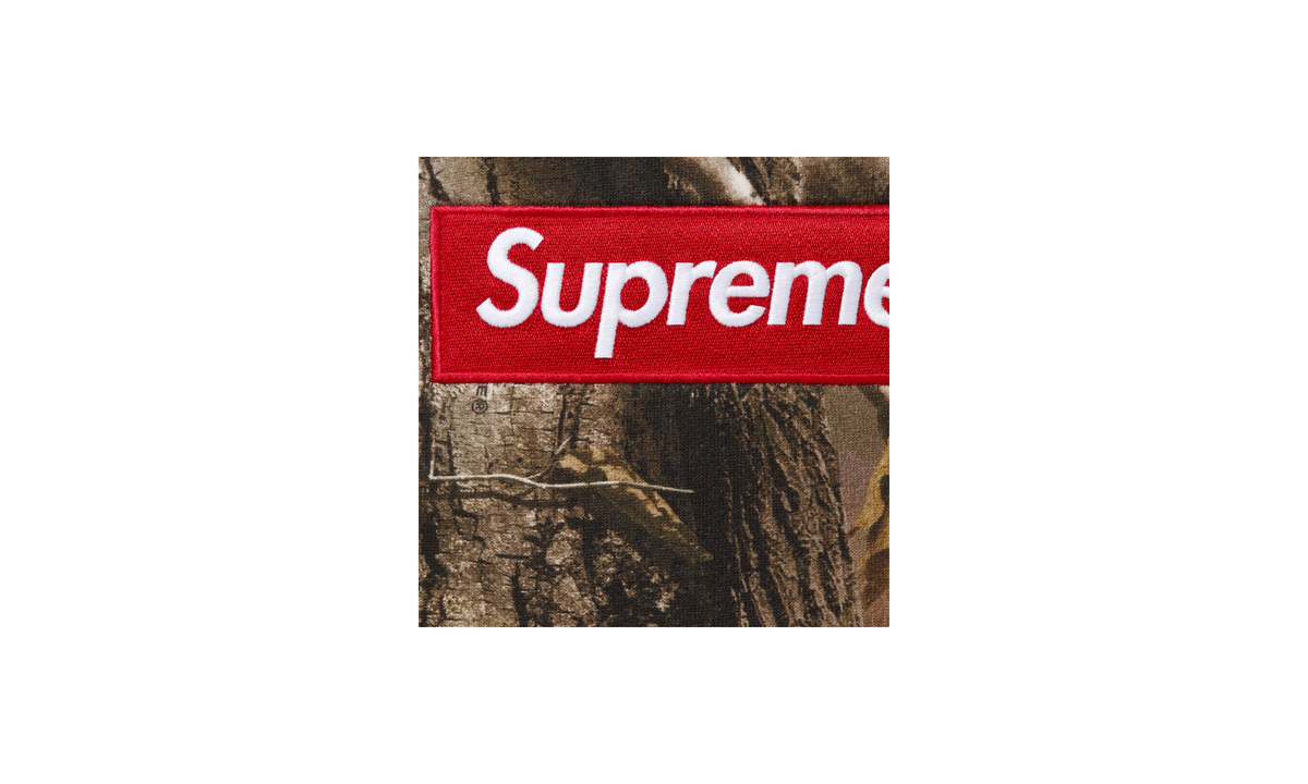 Box Logo Hooded Sweatshirt "FW25 - Realtree¬Æ AP Camo" SU26703