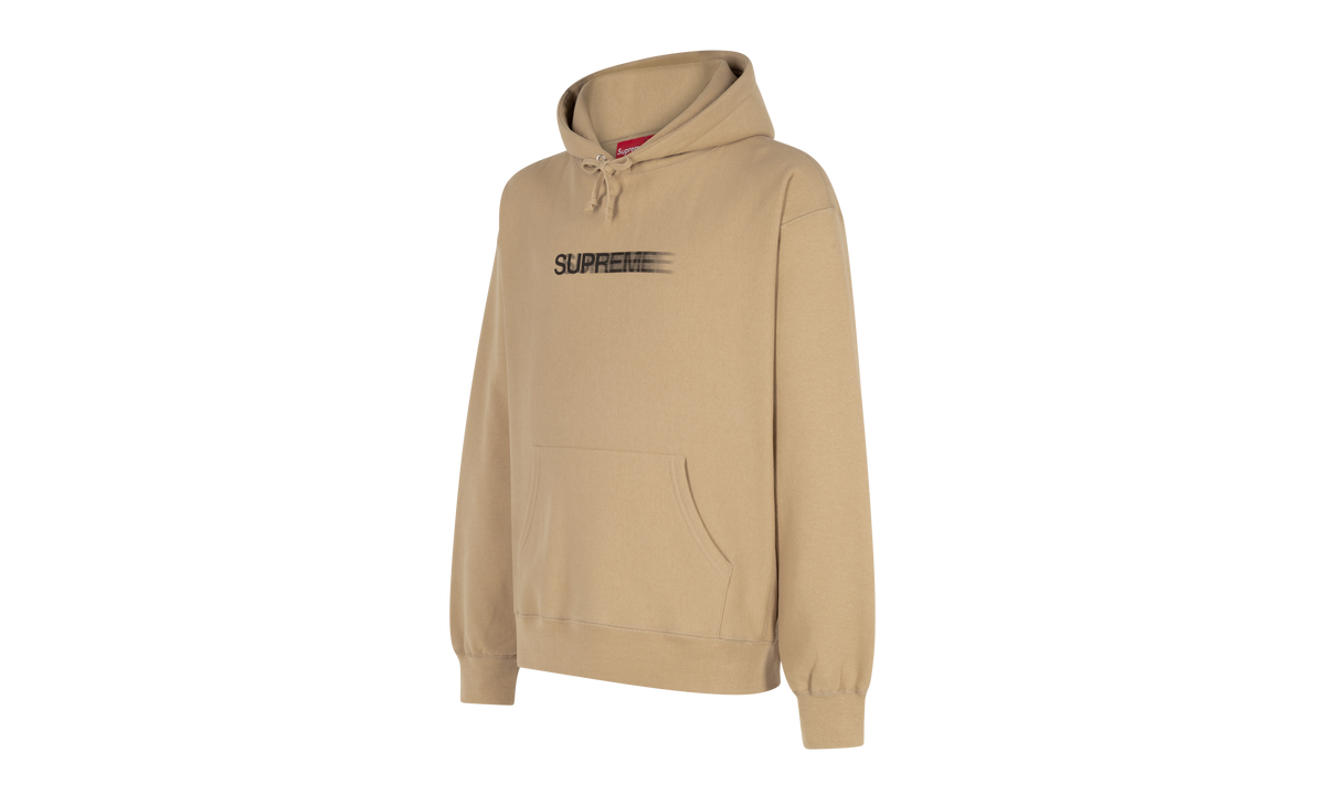 Motion Logo Hooded Sweatshirt "SS23" SU508